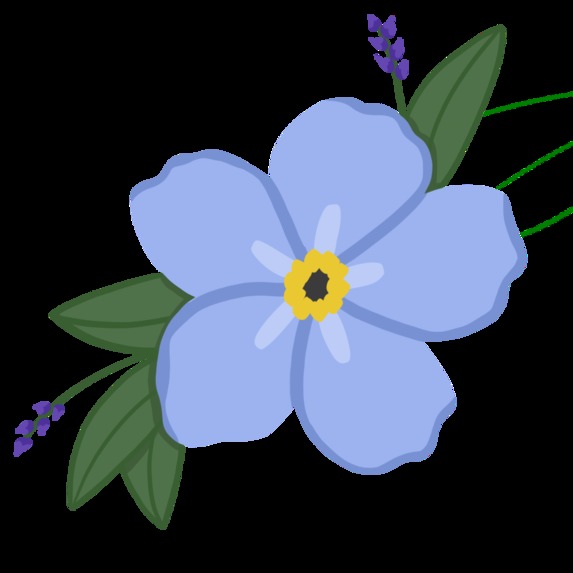 Petal – screenshot 1