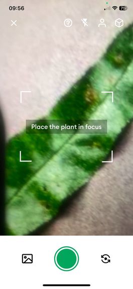 Plant guard – screenshot 1