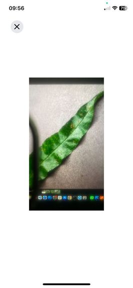 Plant guard – screenshot 2