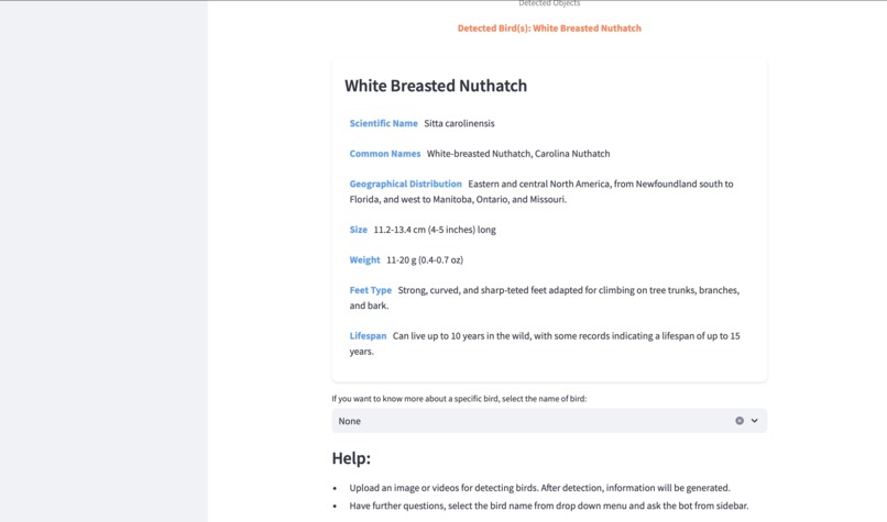 BirdScribe AI – screenshot 3