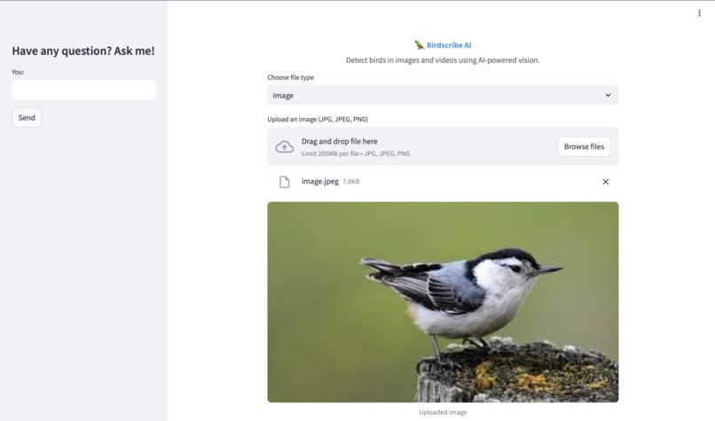 BirdScribe AI – screenshot 1