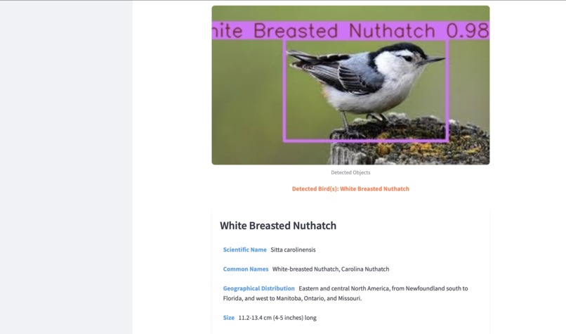 BirdScribe AI – screenshot 2