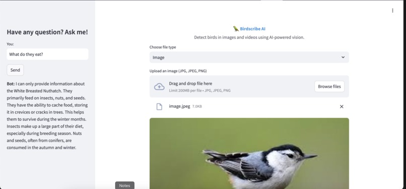 BirdScribe AI – screenshot 4