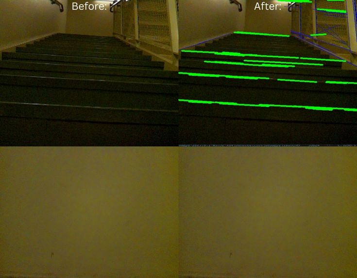 Boom the Guide Dog! – screenshot 2