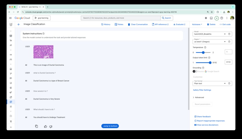 Breast Cancer Detection in Microscope Images – screenshot 2