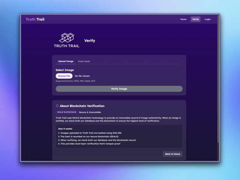 Truth Trail – screenshot 2