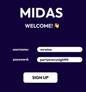 MIDAS – screenshot 2