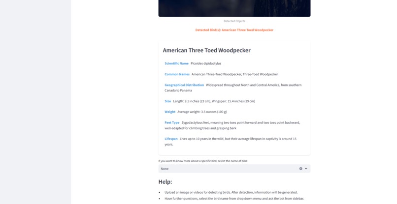 BirdScribe AI – screenshot 3