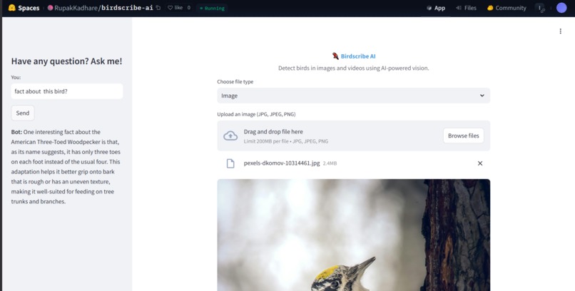 BirdScribe AI – screenshot 4