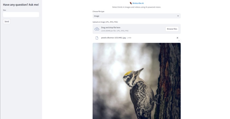 BirdScribe AI – screenshot 1