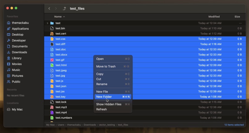Vector – screenshot 2