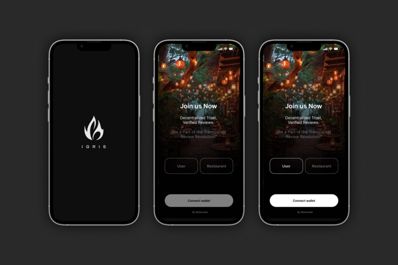 Igris – screenshot 1