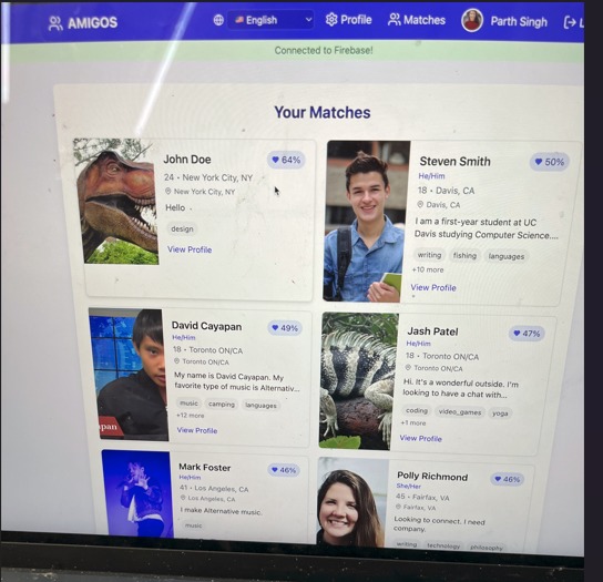Amigos  – screenshot 2