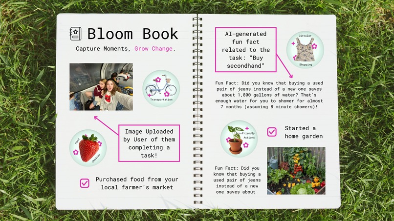 BloomBook – screenshot 1