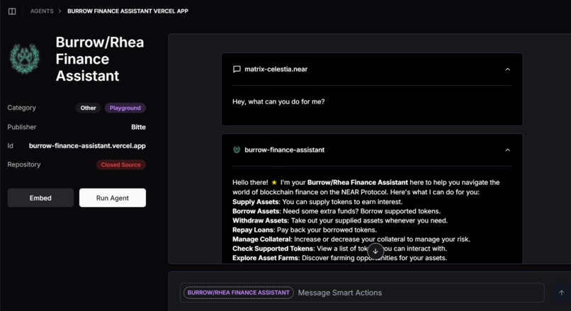 Burrow Finance Assistant – screenshot 1