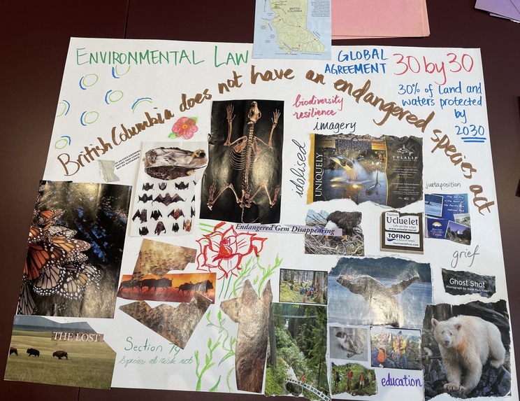 Create4Climate – screenshot 1