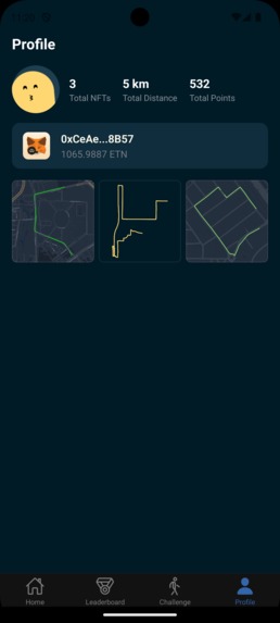 FootFolio – screenshot 5