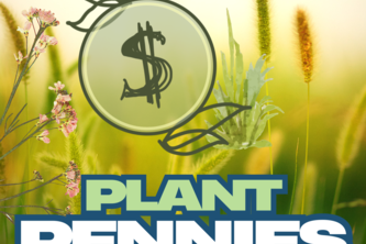 Plant Pennies
