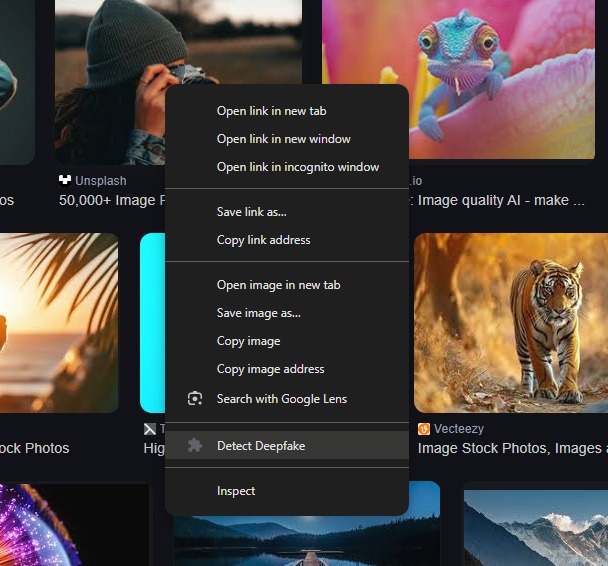 Team 19: VerifyAI Chrome Extension – screenshot 4