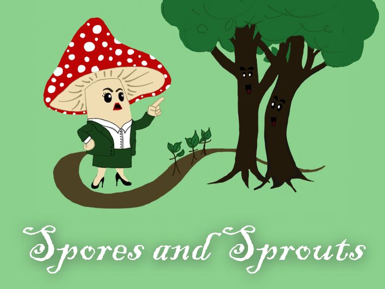 WiTches – screenshot 1