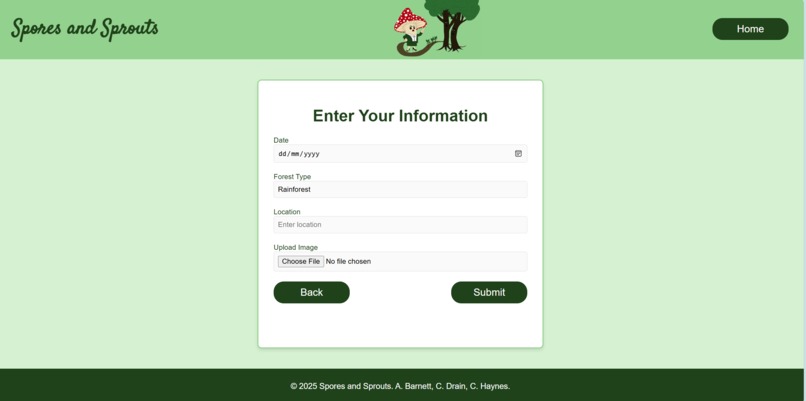WiTches – screenshot 5