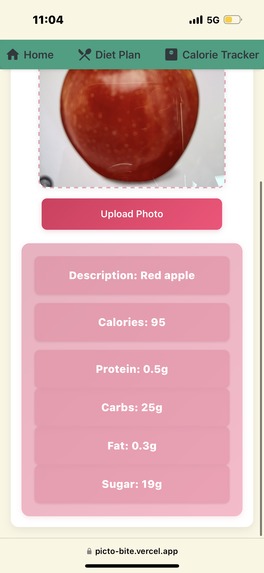 PictoBite – screenshot 11