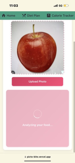 PictoBite – screenshot 10