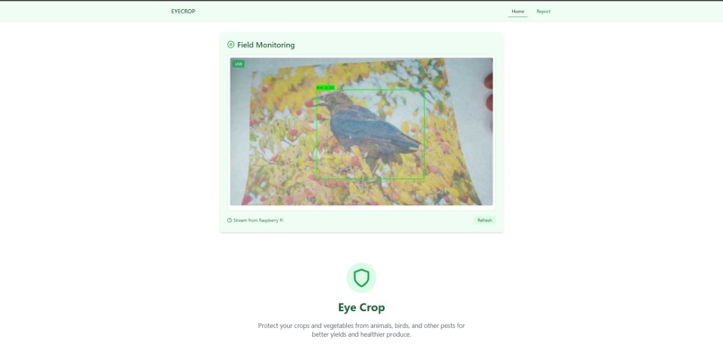 EyeCrop – screenshot 1
