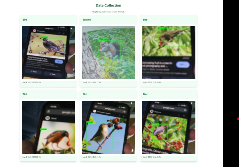 EyeCrop – screenshot 2