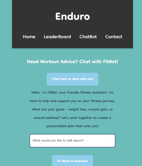 Enduro – screenshot 3