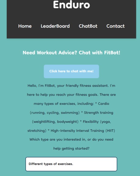 Enduro – screenshot 4