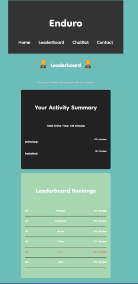 Enduro – screenshot 5