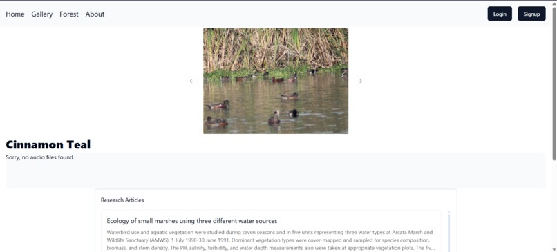 Nature Symphony – screenshot 2