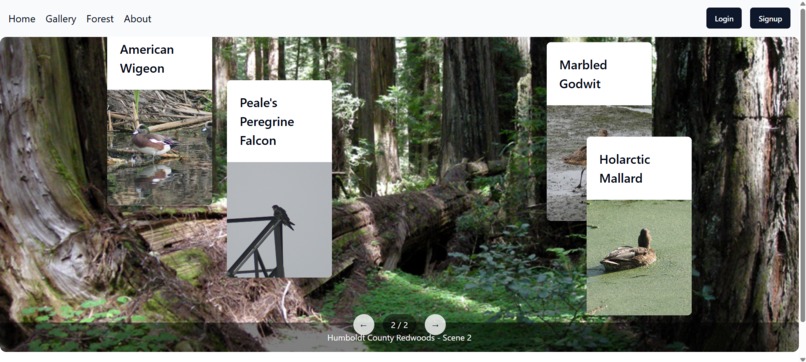 Nature Symphony – screenshot 5