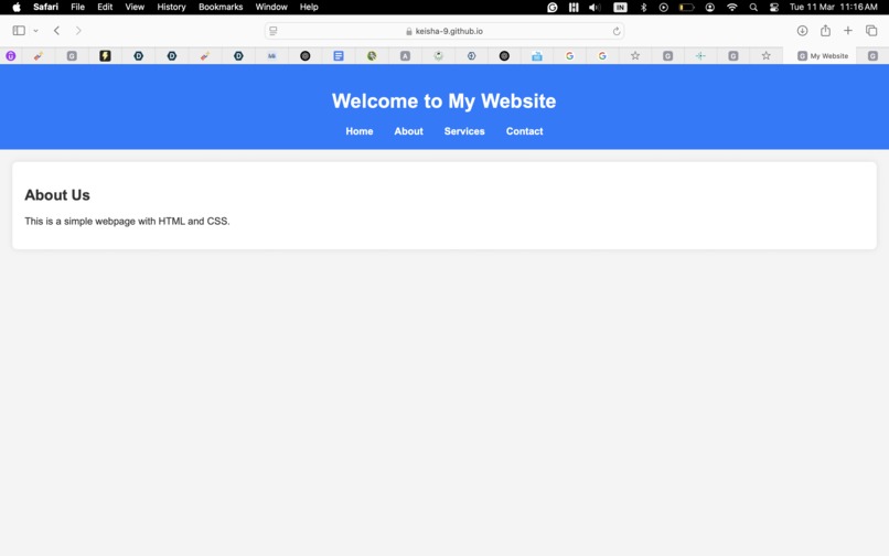 My webite  – screenshot 1