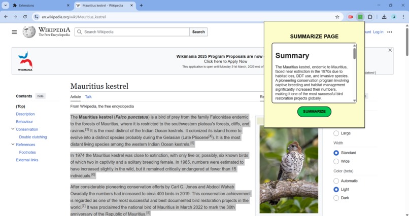 SmartSummarizer – screenshot 1