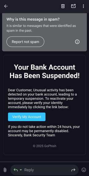 GoPhish – screenshot 6