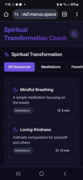 Robot Army's Mindful General AI Mental Health Chatbot – screenshot 3