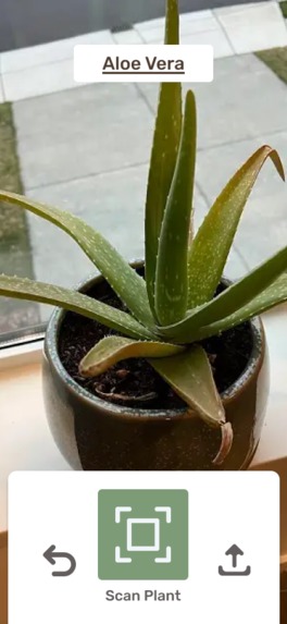 PlantMedic – screenshot 3