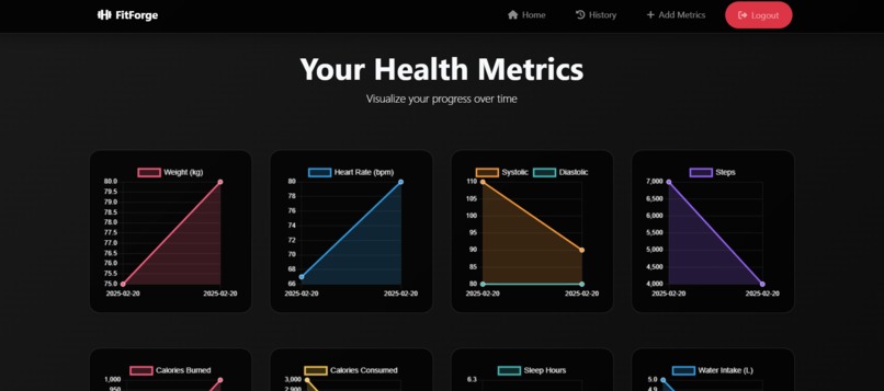 FitForge – screenshot 12