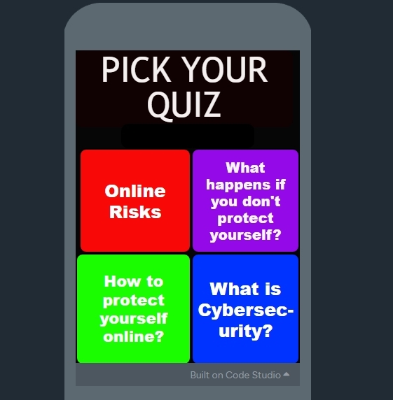 Cyber Security Quizzes – screenshot 2