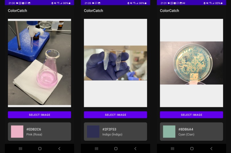 ColorCatch – screenshot 3