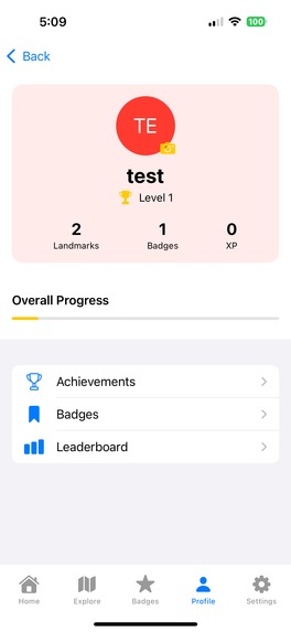 The Swifties (Group 1) – screenshot 1