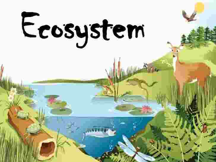 EcoPioneers – screenshot 1