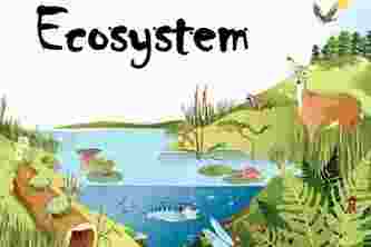 EcoPioneers