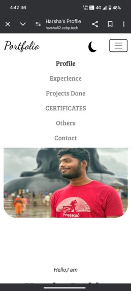 Simple portfolio – screenshot 1