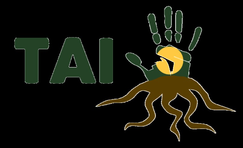 TAI (Tutor AI) Learning Platform for Indigenous Communities – screenshot 1