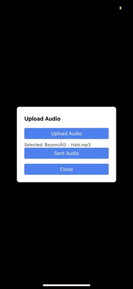 Memoir – screenshot 5