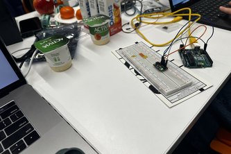 WildFire Escape Plan