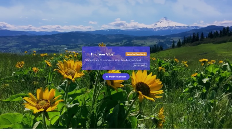 FindYourVibe – screenshot 1